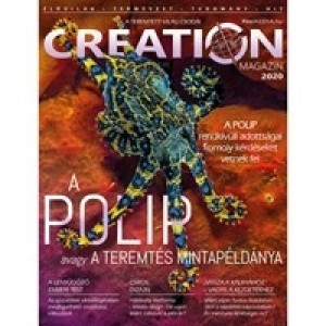 Creation - magazin - 2020